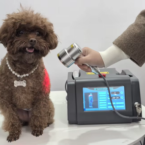 Laser Therapy Machine Manufacturer - Custom 810nm 980nm 1064nm Physiotherapy Device for Animal Pets