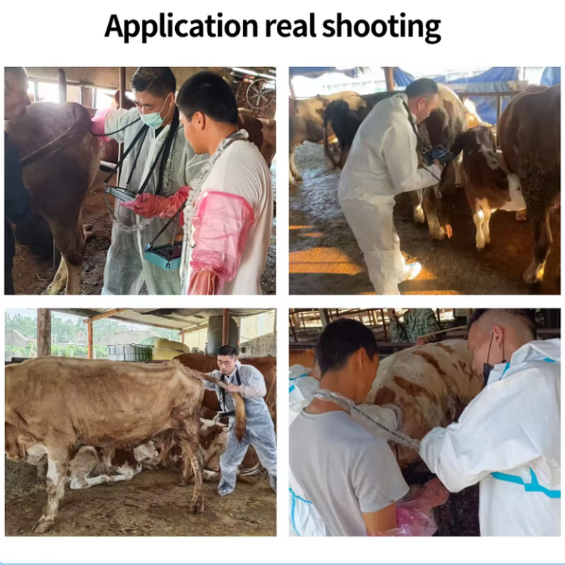 Portable Veterinary Ultrasound Scanner - Animal Diagnostic Imaging Machine Manufacturer