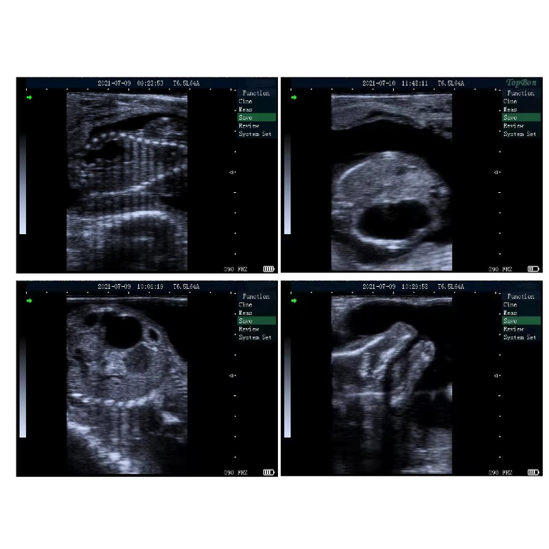 Portable Veterinary Ultrasound Scanner Manufacturer - for Dogs, Cats, Livestock