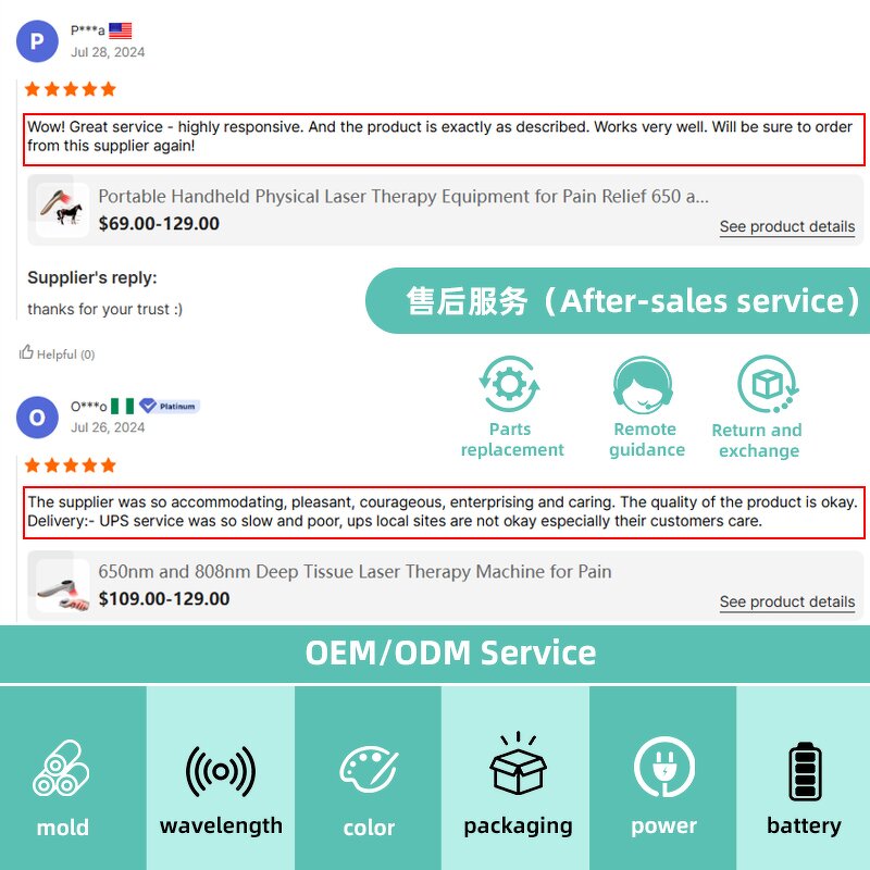 Veterinary Laser Device Manufacturer - Portable Handheld Low-Level Laser for Dog Physiotherapy & Pain Relief