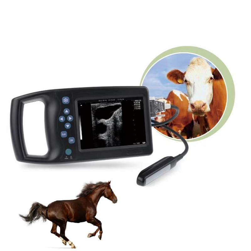 Portable Veterinary Ultrasound Scanner - Animal Diagnostic Imaging Machine Manufacturer