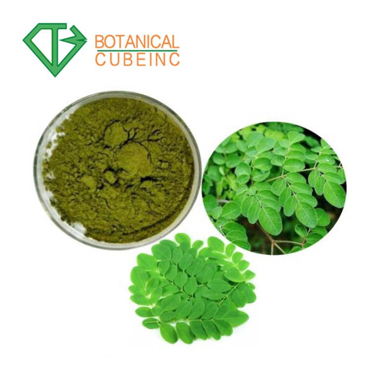 Moringa Leaves Manufacturer - BCI Certified Pure Organic Powder and Extract for Export