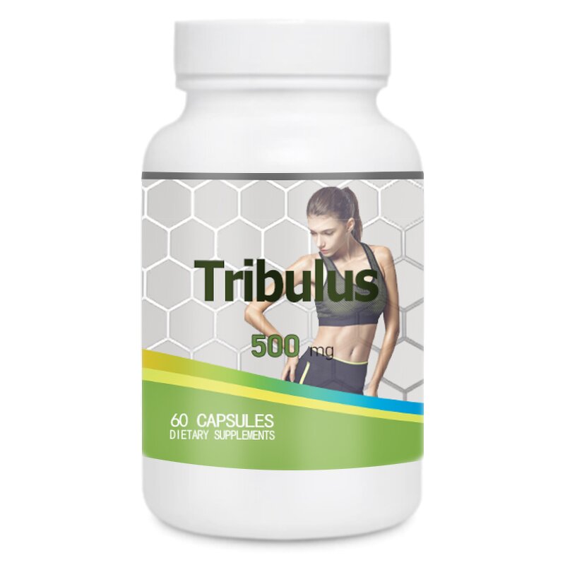 Tongkat Ali Extract Capsules Manufacturer - 1500mg with Ashwagandha & Tribulus Terrestris