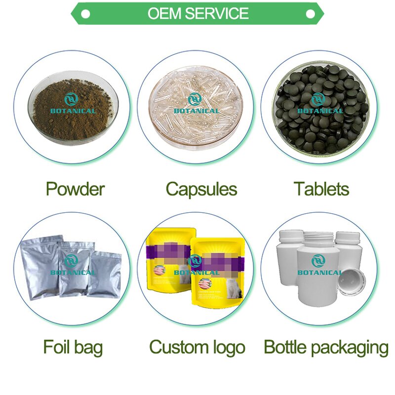 Aronia Berry Extract Powder Manufacturer - 100% Pure Aronia Melanocarpa Powder