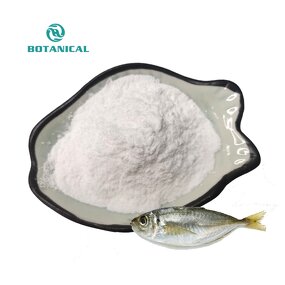 Marine Fish Collagen Protein Powder Manufacturer - Firming Good Night Beauty Products