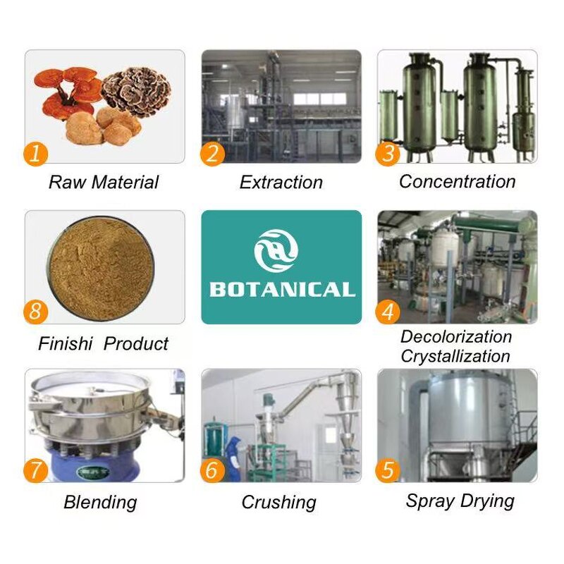 Strawberry Powder Manufacturer - Pure Natural Fruit Powder