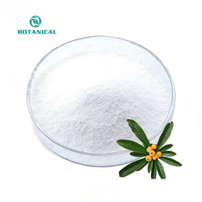 Loquat Leaf Extract Manufacturer - 5% 10% 20% Corosolic Acid Powder with Free Samples