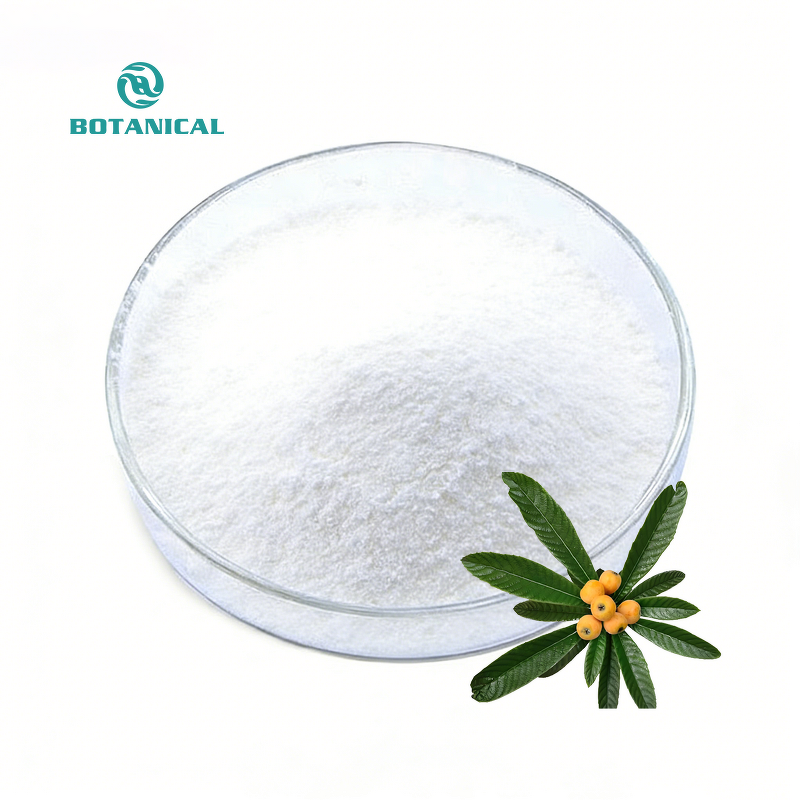 Loquat Leaf Extract Manufacturer - 5% 10% 20% Corosolic Acid Powder with Free Samples