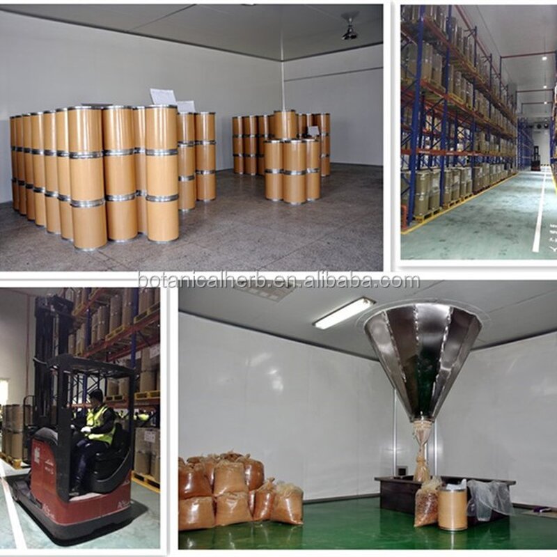 Butterbur Extract Manufacturer - Petasites Japonicus Extract with 15% Petasin & 10:1 Concentration