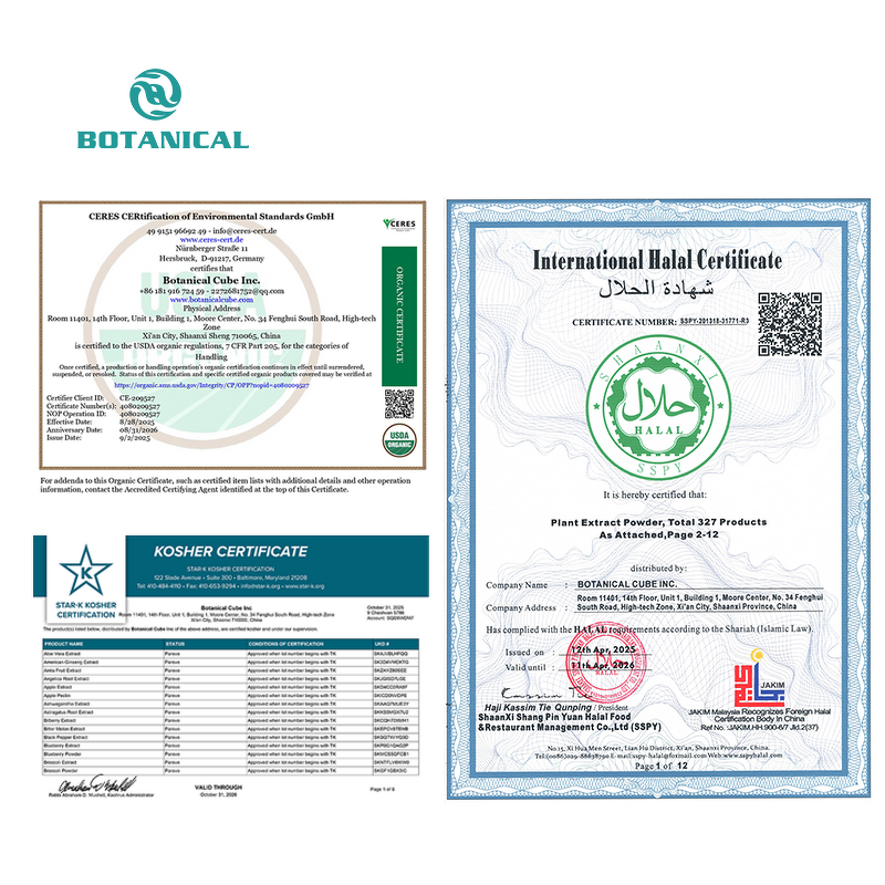 NMN Powder Manufacturer - 99% Pure Nicotinamide Mononucleotide 1094-61-7