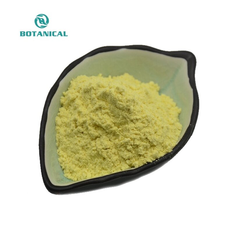 Berberis Aristata Extract Manufacturer - 97% to 98% Berberine HCL