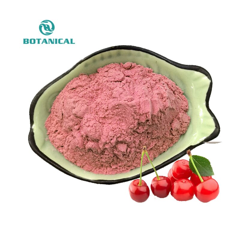 Acerola Cherry Extract Powder Manufacturer - High Quality Indian Tart Cherry Powder