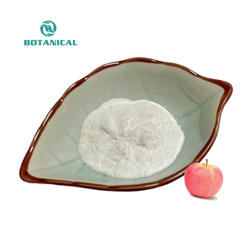 Cider Vinegar Powder Manufacturer - 100% Pure Natural No Additives