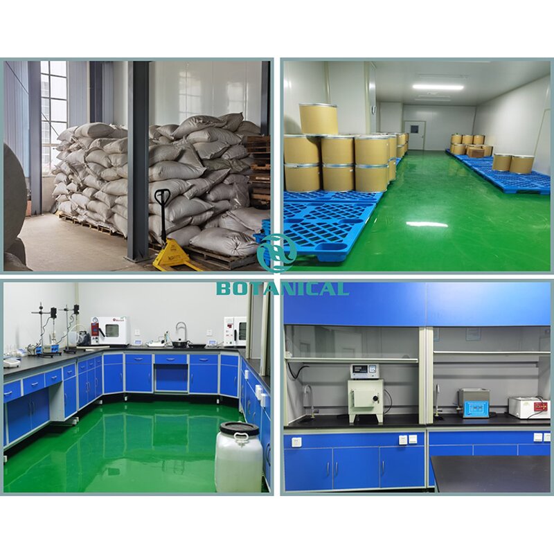 Prickly Pear Fruit Powder Manufacturer - B.C.I Supply