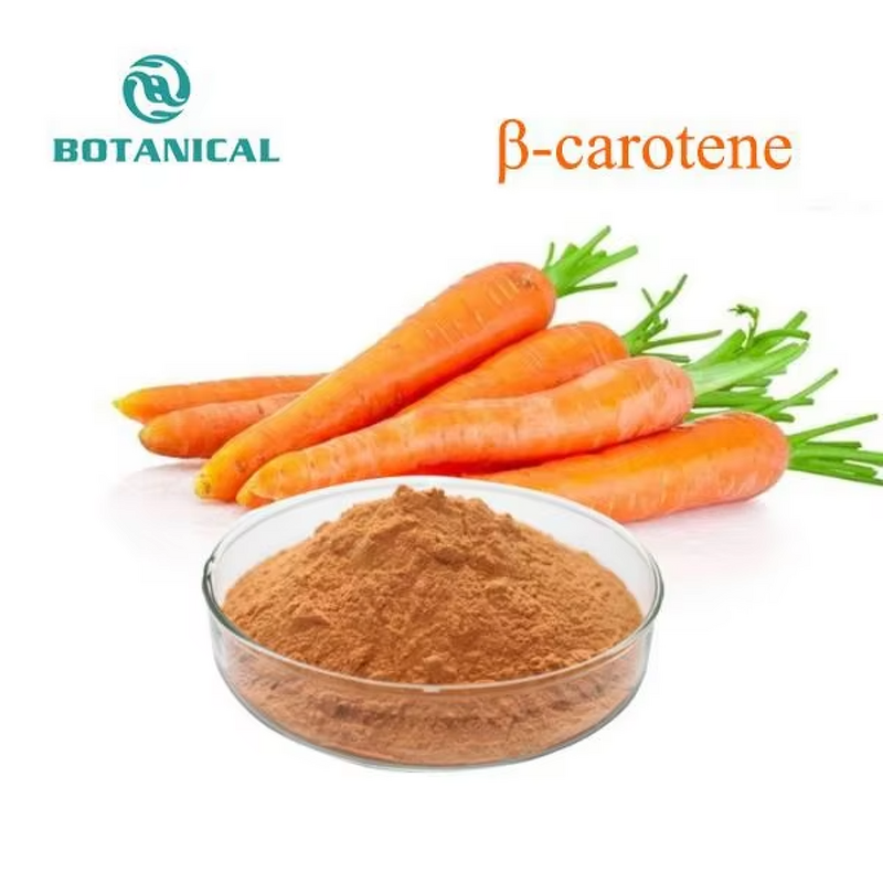 Beta-Carotene Powder Manufacturer - Food Grade Natural Carrot Extract for Skin Care