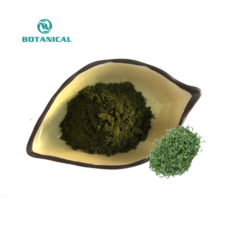 Nannochloropsis Oceanica Powder Manufacturer - Food Grade Bulk Nannochloropsis Salina
