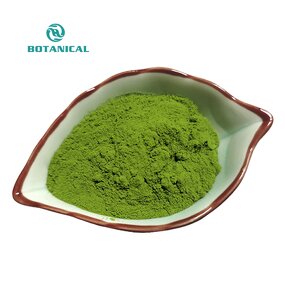 Chlorophyllin Powder Manufacturer - Sodium Copper Chlorophyllin & Leaf Extract 15% 95%