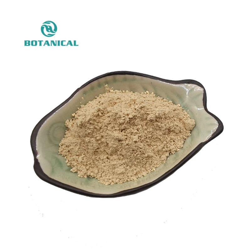 Monk Fruit Extract Powder Manufacturer - Organic Mogroside Sweetener Bulk Supply