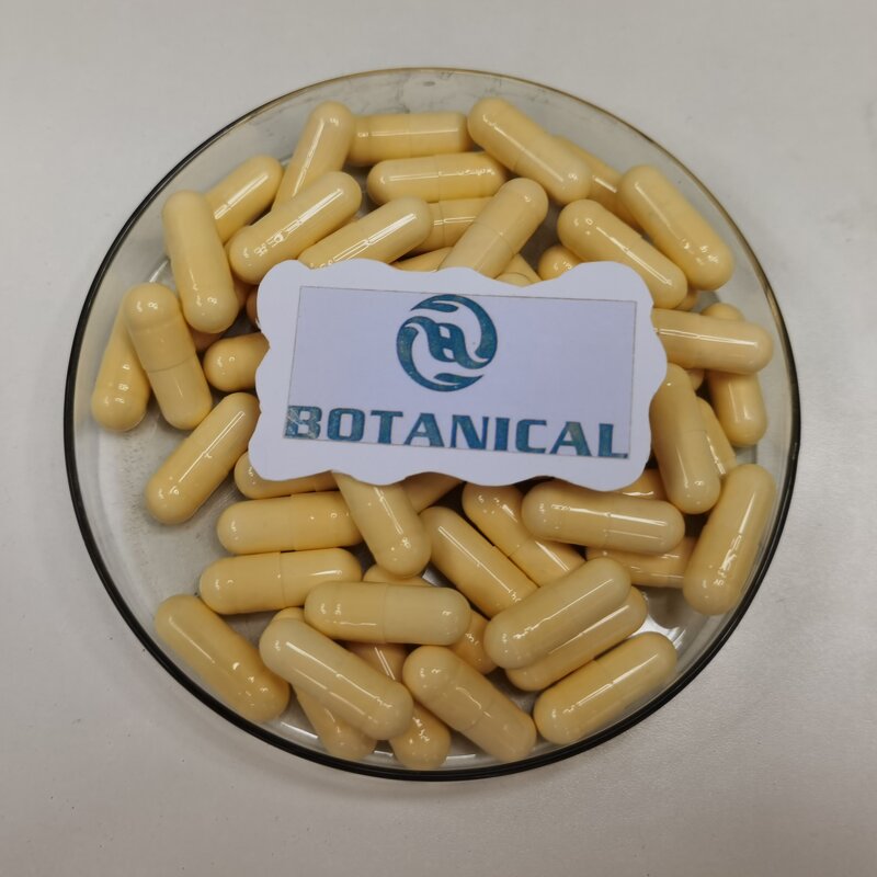 Bromelain Enzyme Supplement Manufacturer - 500mg 2,400 GDU/g Pineapple Extract Tablets