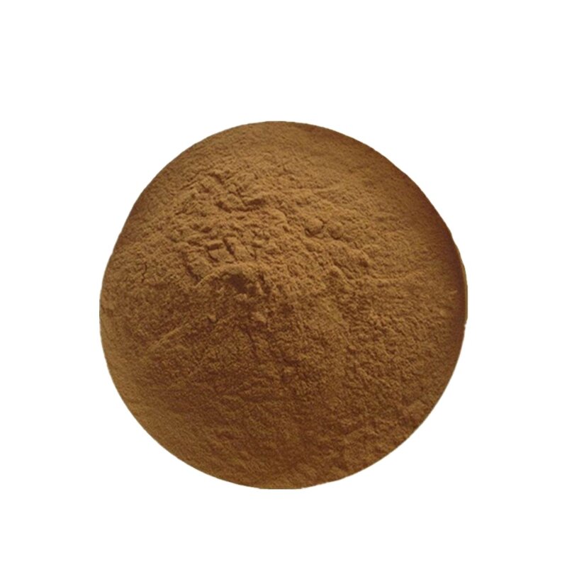 French Horn Mushroom Extract Manufacturer - King Trumpet Mushroom Powder