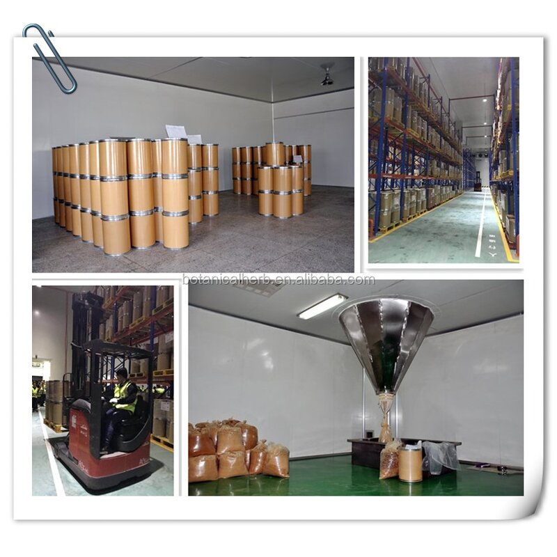 Chlorophyllin Powder Manufacturer - Sodium Copper Chlorophyllin & Leaf Extract 15% 95%