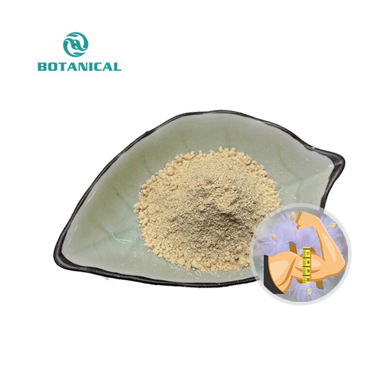 Cyanotis Vaga Arachnoide Extract Manufacturer - Ecdysterone Powder Capsule HPLC Verified