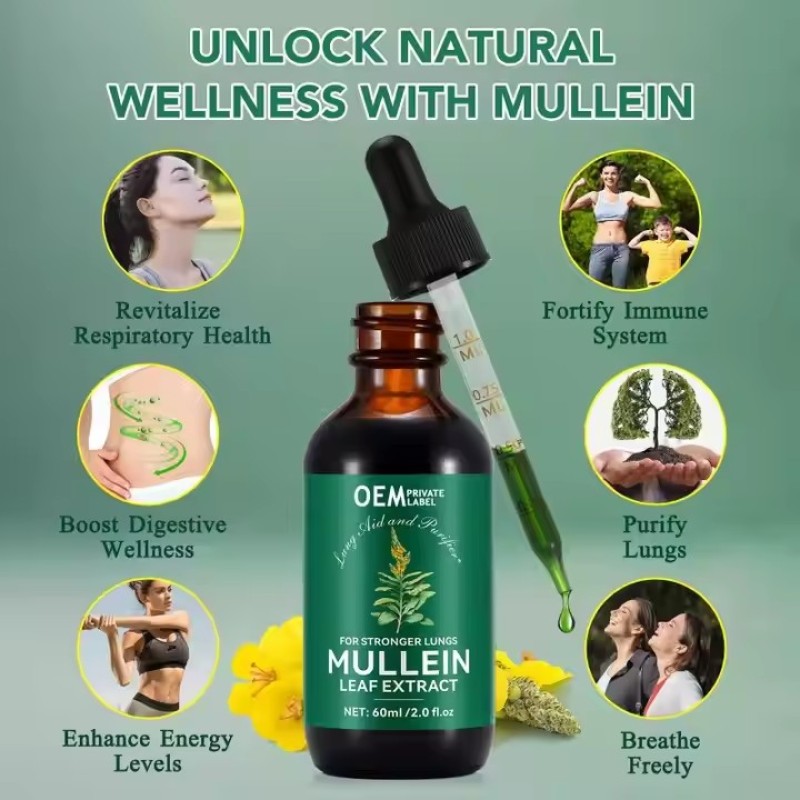 OEM Lungs Lung Cleanse and Phlegm Support Fast Absorption Mullein Leaf Extract Mullein Drops