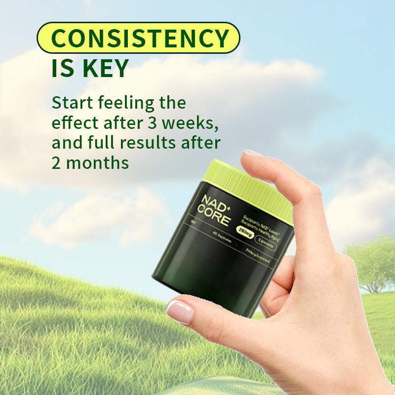 NAD+ Daily Supplement Quercetin Resveratrol 500mg Nicotinamide Nucleoside Chlorine Capsules OEM Adult Beauty Product