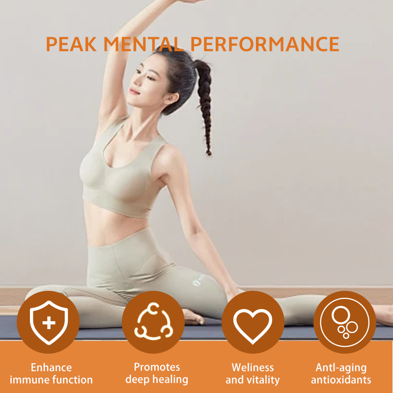 OEM Instant Mushroom Coffee Powder with Lions Mane, Chaga, and Cordyceps for Focus and Energy 300g