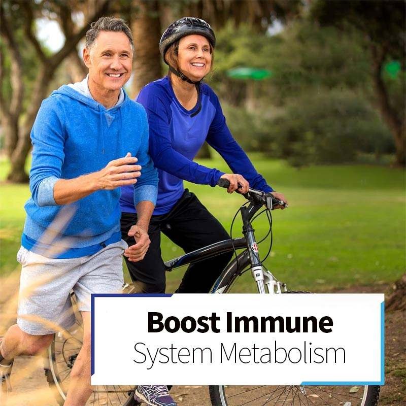 Natural Bitter Melon Plant Extract Capsules Multivitamin Nutritional Supplement for Adults