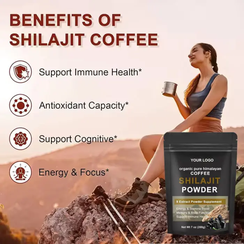 Private Label Pure Shilajit Extract Powder with Ashwagandha and Mushroom Blend for Energy and Immunity 300g