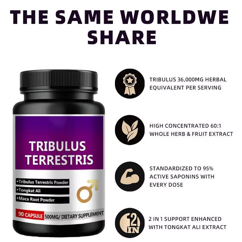 OEM 500mg Tribulus Terrestris and Maca Root Capsules for Adult Men Energy and Vitality Powder Dosage