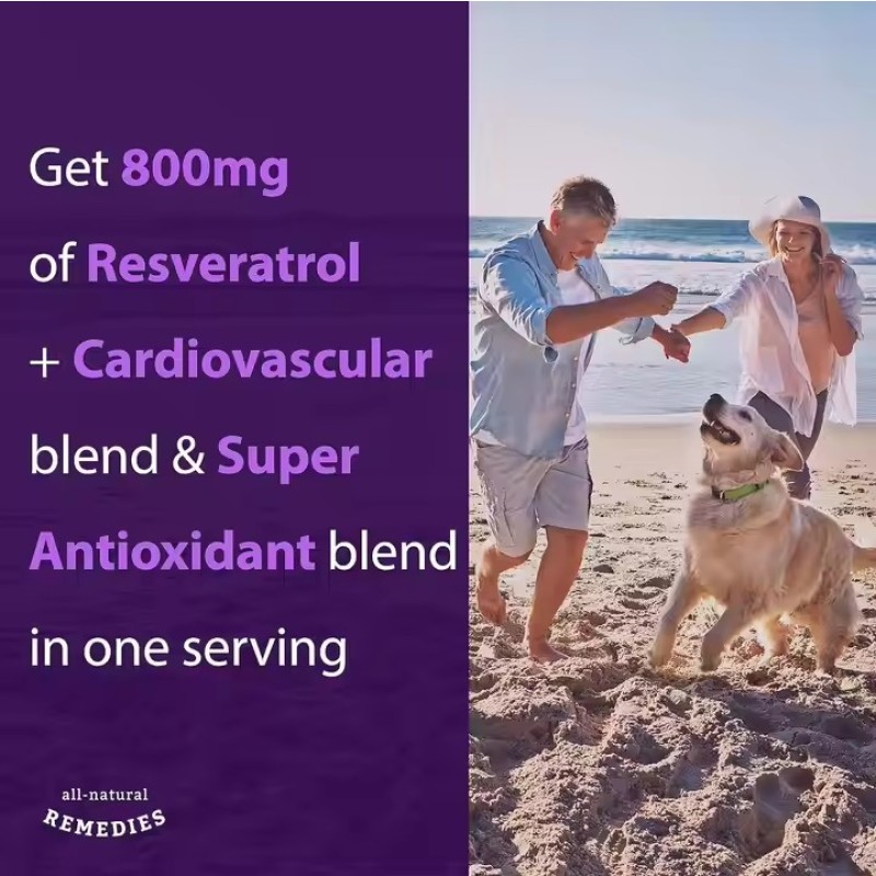 Wholesale High Purity Natural Herbal Supplement Trans Resveratrol Grape Seed Extract Resveratrol Capsules