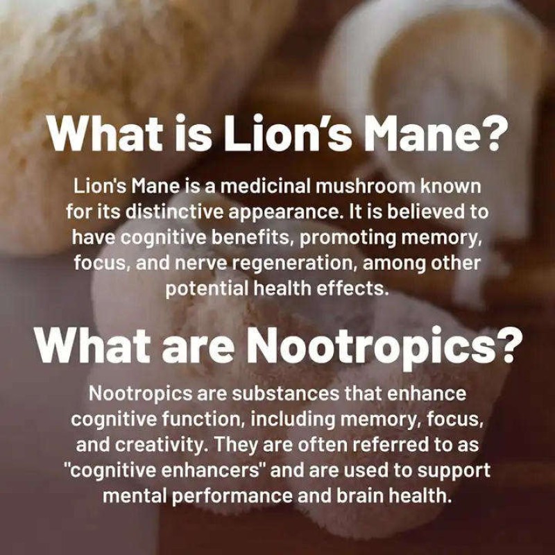 OEM Private Label Brain Memory & Focus Supplement Lion's Mane with Ginkgo Biloba and Bacopa Monnieri Capsules