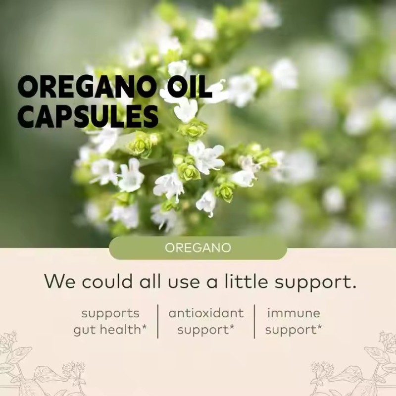 OEM Custom Supplement Manufacturer Wholesale Oregano Oil Extract Softgel Capsules Dosage Form Softgel Capsule