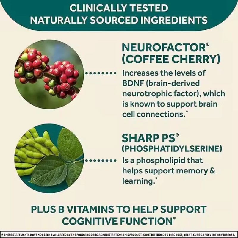 Natural Phosphatidylserine Enhances Smart Pill Brain Supplement for Brain Health Soft Candy Intellectual Development