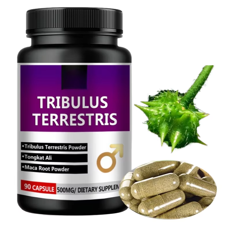 OEM 500mg Tribulus Terrestris and Maca Root Capsules for Adult Men Energy and Vitality Powder Dosage