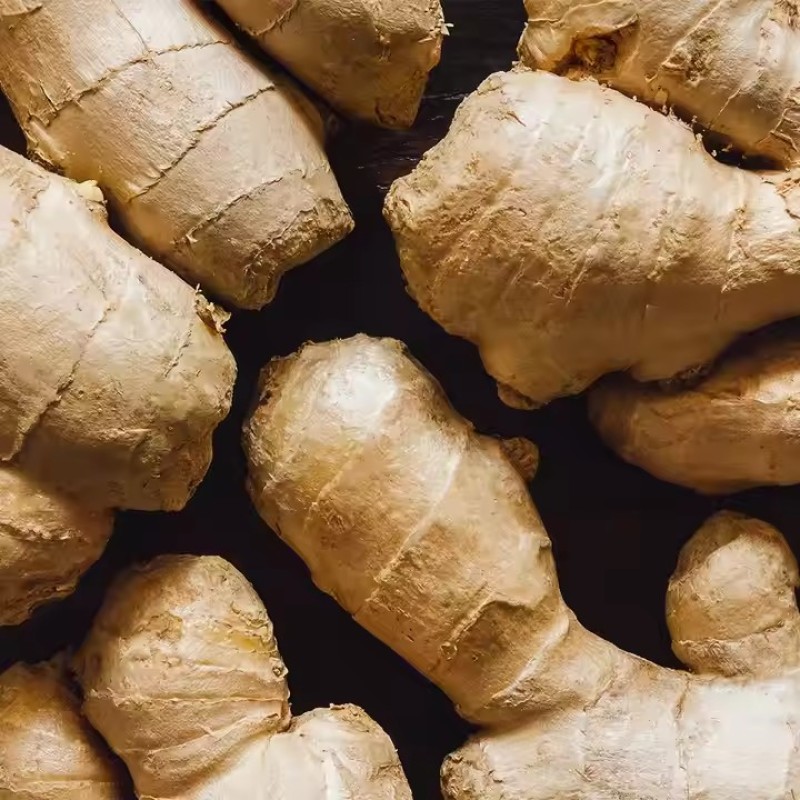 Colon Care Fiber Cleanse Capsules with Herbal Probiotics Digestive Enzymes for Healthy Elimination Digestion Loss Weight Detox