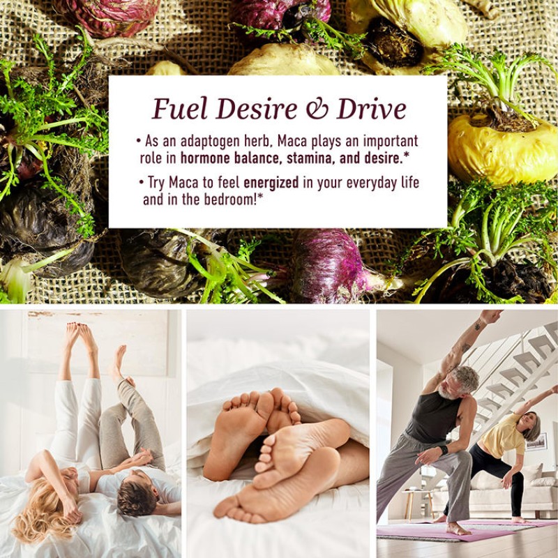 Premium Red Maca Root Gummies for Libido Support and Energy Boost 60 Gummies
