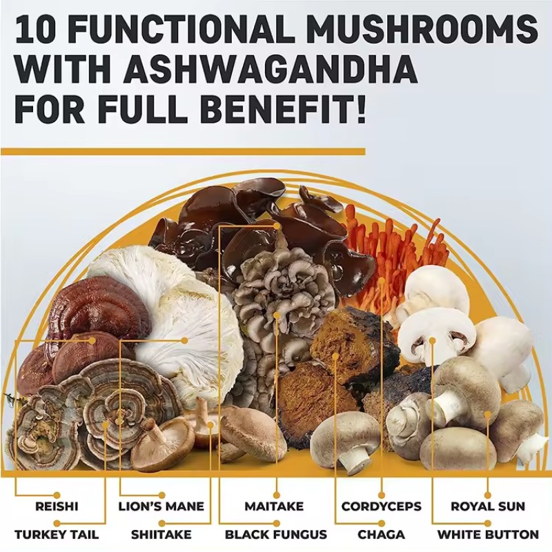 Hot Selling Mushroom Gummies for Brain Boost, Immune Support & Energy  10 Blend Formula for Men & Women