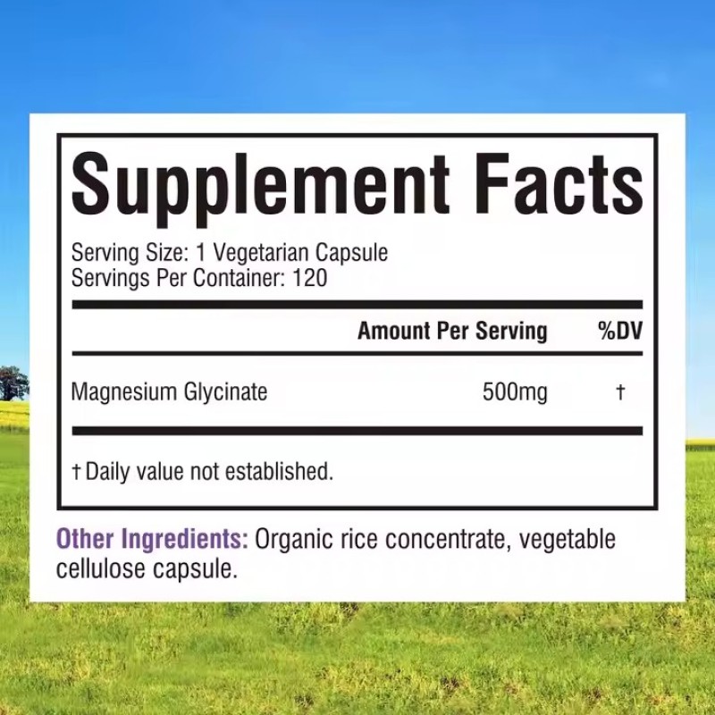 Magnesium Glycinate Capsules Health Sleep Muscle Recovery Magnesium Magnesium L-threonate Capsules Sleep Supplement