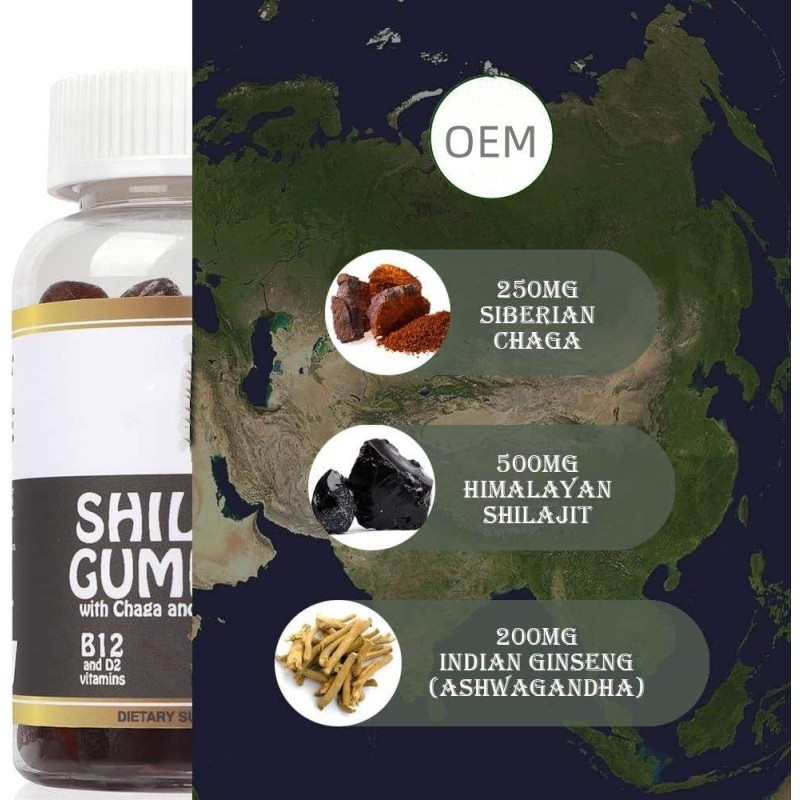 Hot Sale Vegan Shilajit Soft Candies - Chaga Ashwagandha Infused Vitamin Supplement for Immunity