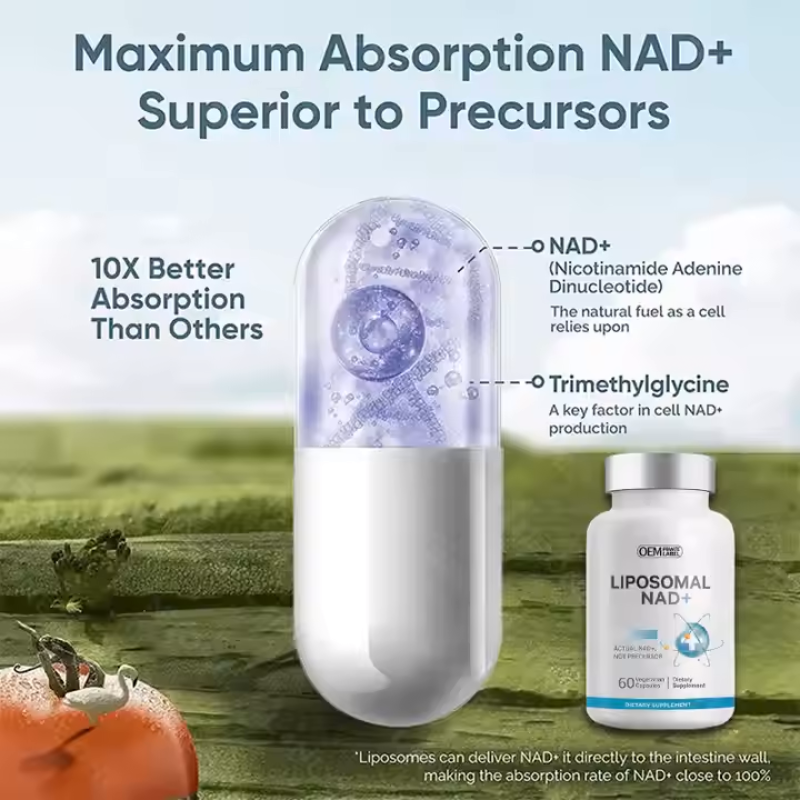 Premium NAD3 NAD+ Booster Capsules - Clinically Proven for Cellular Repair & Energy Boost | Lab-Tested Formula for Athletes