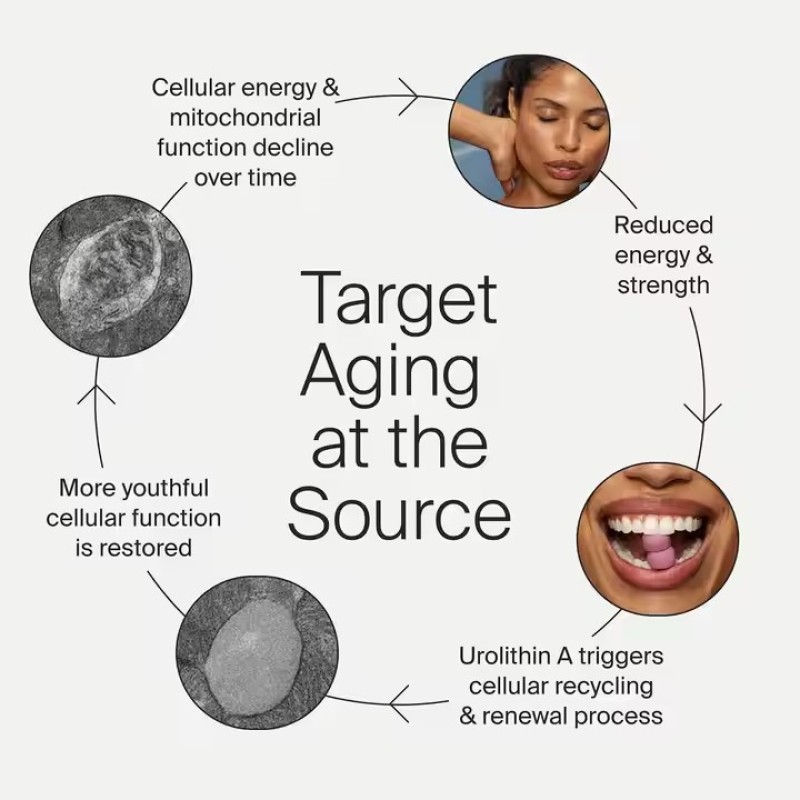 Urolithin a Healthy Aging Support Cellular Renewal Mitoceutical Muscle Strength Longevity Gummies