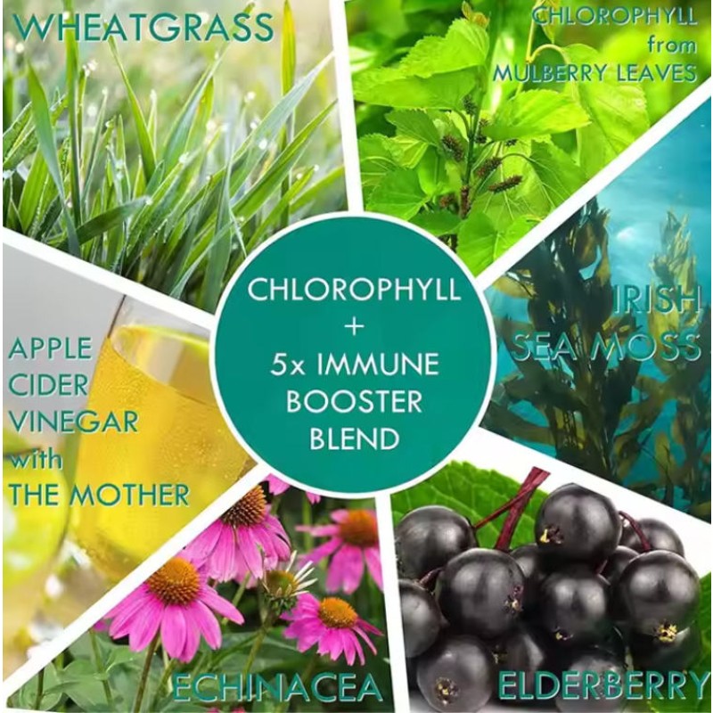 Biocaro OEM Private Label Chlorophyll Gummies for Liver Health, Immunity Boost, and Sleep Support