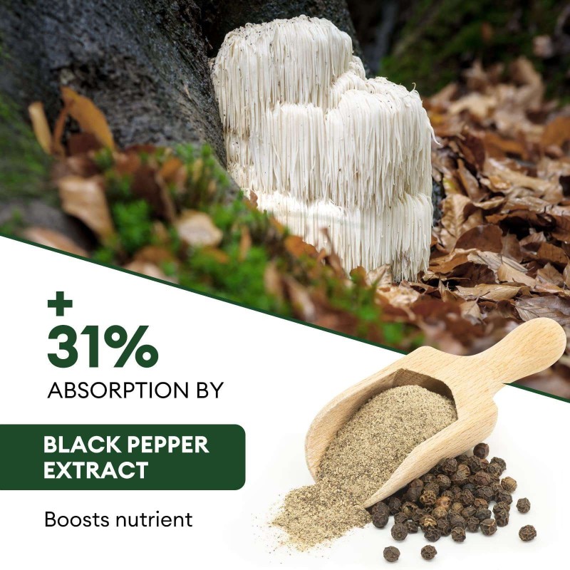 Premium Mushroom Supplement Capsules for Immune Health - Lions Mane, Turkey Tail, and Mushroom Coffee Powder