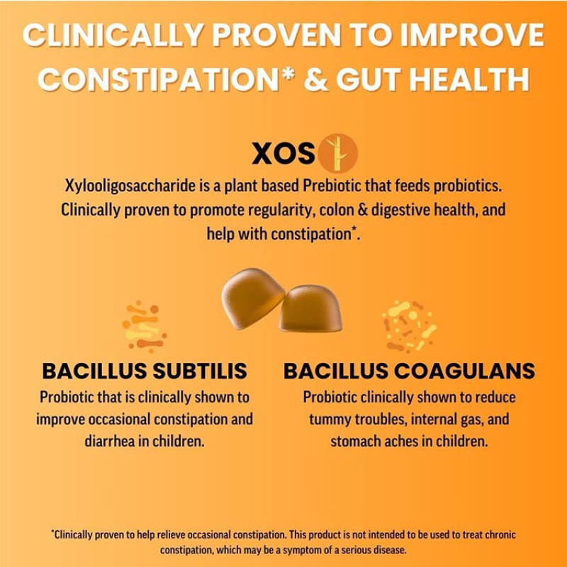 Customizable Berry Flavored Probiotic Gummy Supplement with 1B CFUs for Beauty and Digestive Health