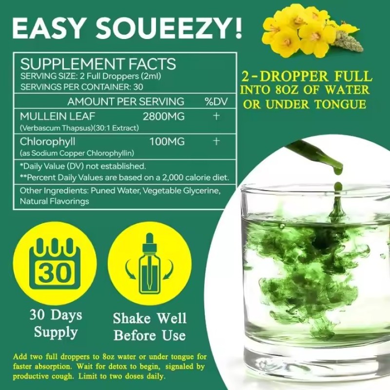 OEM Lungs Lung Cleanse and Phlegm Support Fast Absorption Mullein Leaf Extract Mullein Drops