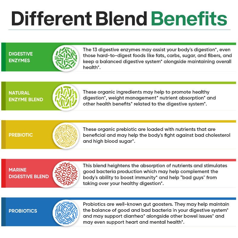 OEM Natural Digestive Enzyme Supplements Prebiotic Properties Capsules and Tablets for Adults Not for Pregnant Women