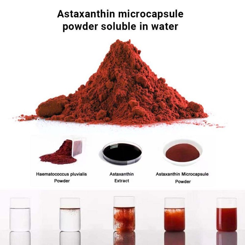 1%-10% Custom Natural Astaxanthin Powder From Haematococcus Pluvialis - Premium Water-Soluble Antioxidant Extract